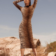 Sexy Bodycon Long Sleeve Midi Slim Animal Printed Women Career Dresses